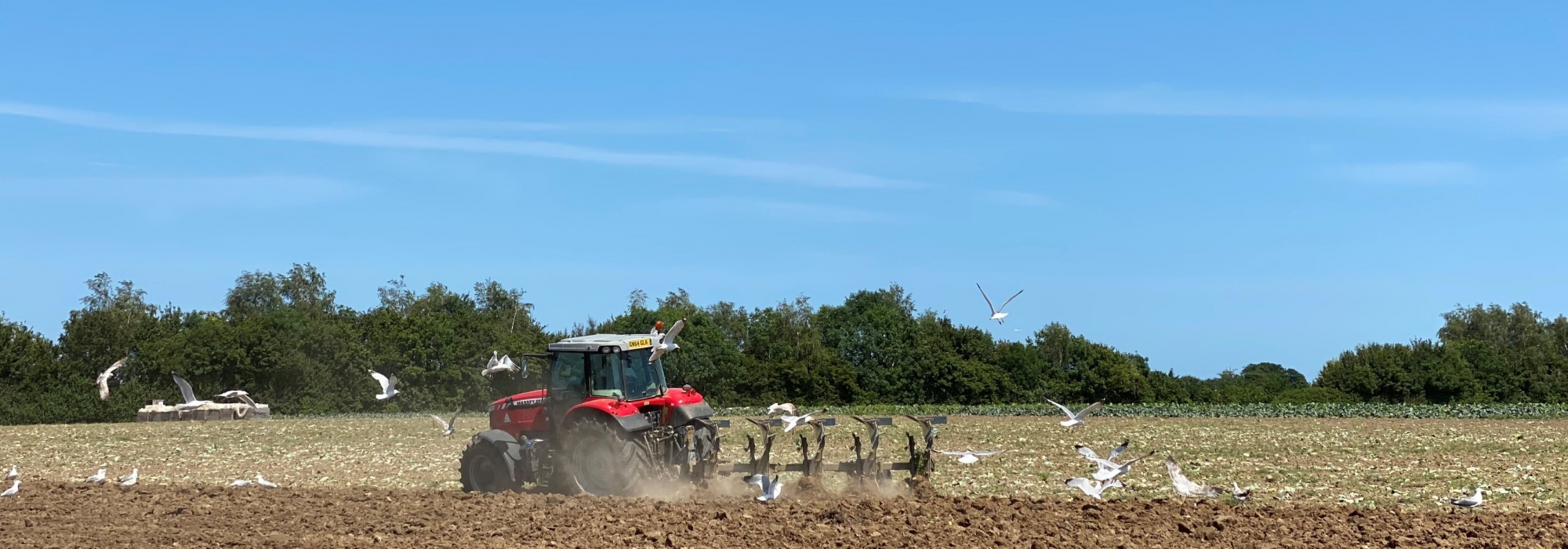 Red tractor ploughing field on a sunny day