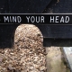 Mind yur head fence gap for hedgehogs