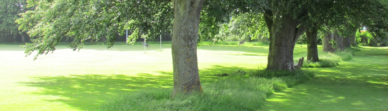 Swath East 22 June 2021 Swathe and trees