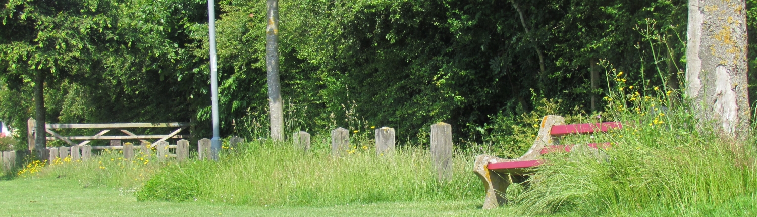 Swath north east with red bench 24 June 2021