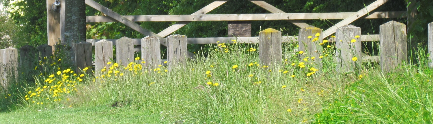 swath north east flowering 24 June 2021