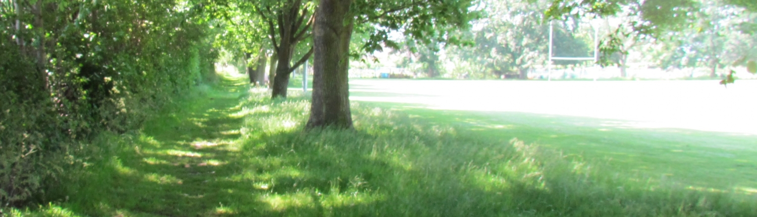 swathe east going south 24 June 2021 Swathe and tree