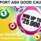 Dover Lotto Icon
