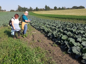 Two people looking at field of crops