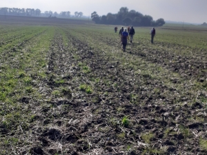 People in the distance walking across ploughed field