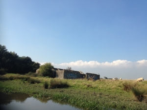 Remains of stone prison in field