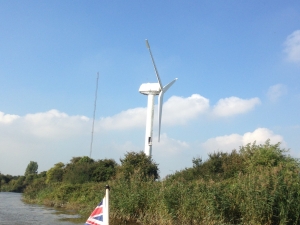 Wind turbine and vegetation