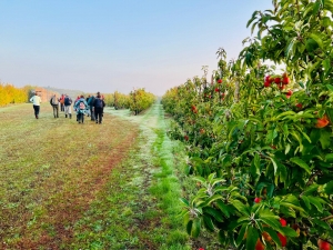 Group of walker s going through orchard