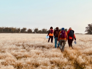 Walkers crossing harvested field
