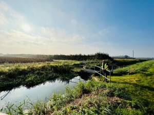 Man on small bridge over stream in green fields