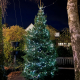 Christmas tree and lights